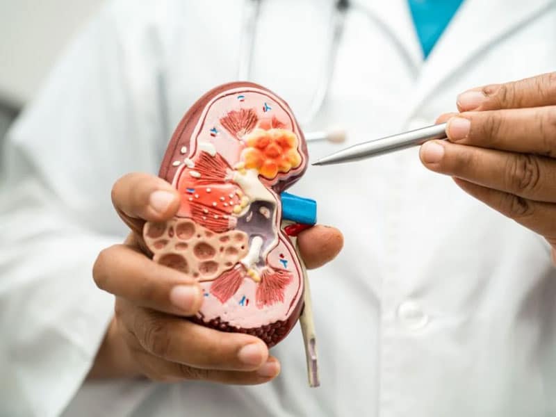 Nephrologist in Aruppukottai