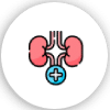 Kidney doctor in Natham